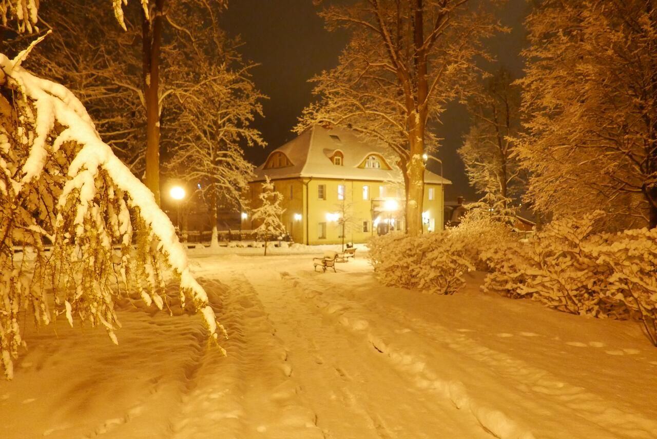 Апарт-отели Rezydencja Grawert Victorian Boutique & Spa Лёндек-Здруй