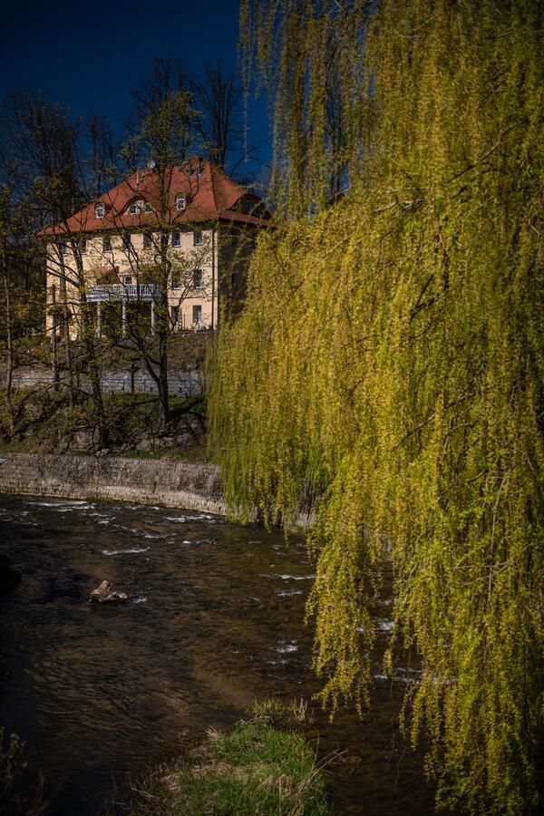 Апарт-отели Rezydencja Grawert Victorian Boutique & Spa Лёндек-Здруй-33